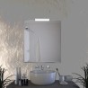 Star Feel - Miroir de salle de bain avec interrupteur tactile et lampe